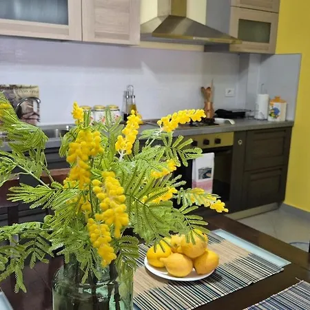 Apartament Mimosa Oasis Wlora