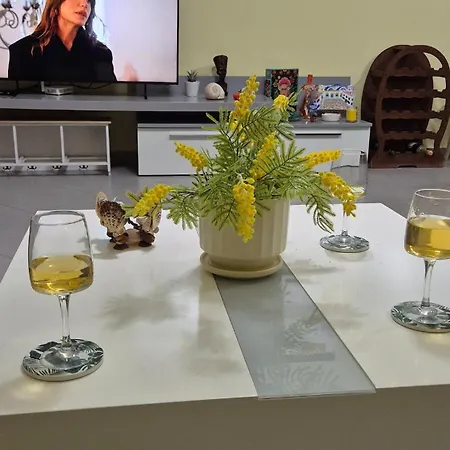 Mimosa Oasis * Wlora