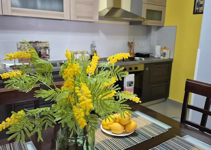 公寓 Mimosa Oasis Vlorë